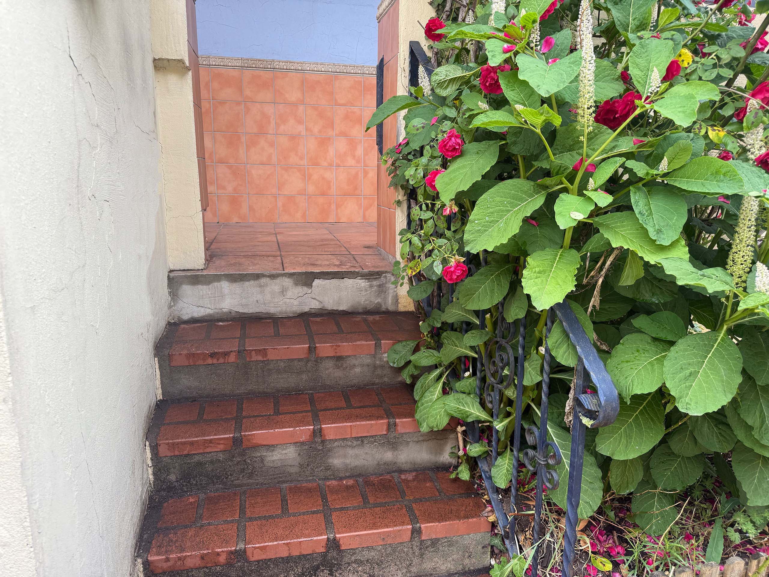 Geräumter und gepflegter Terrasseneingang nach erfolgreicher Entrümpelung